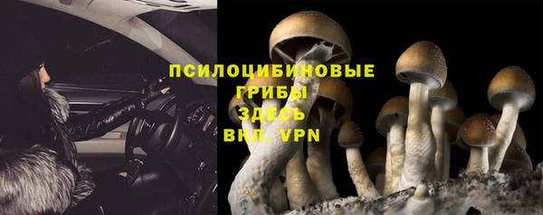 а пвп мука Алексин