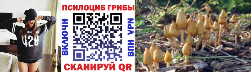 Галлюциногенные грибы мицелий Николаевск